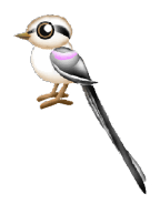 GiK