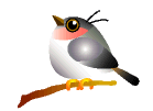 E\